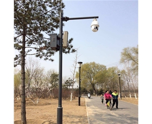 宁夏路灯监控杆-LB-03
